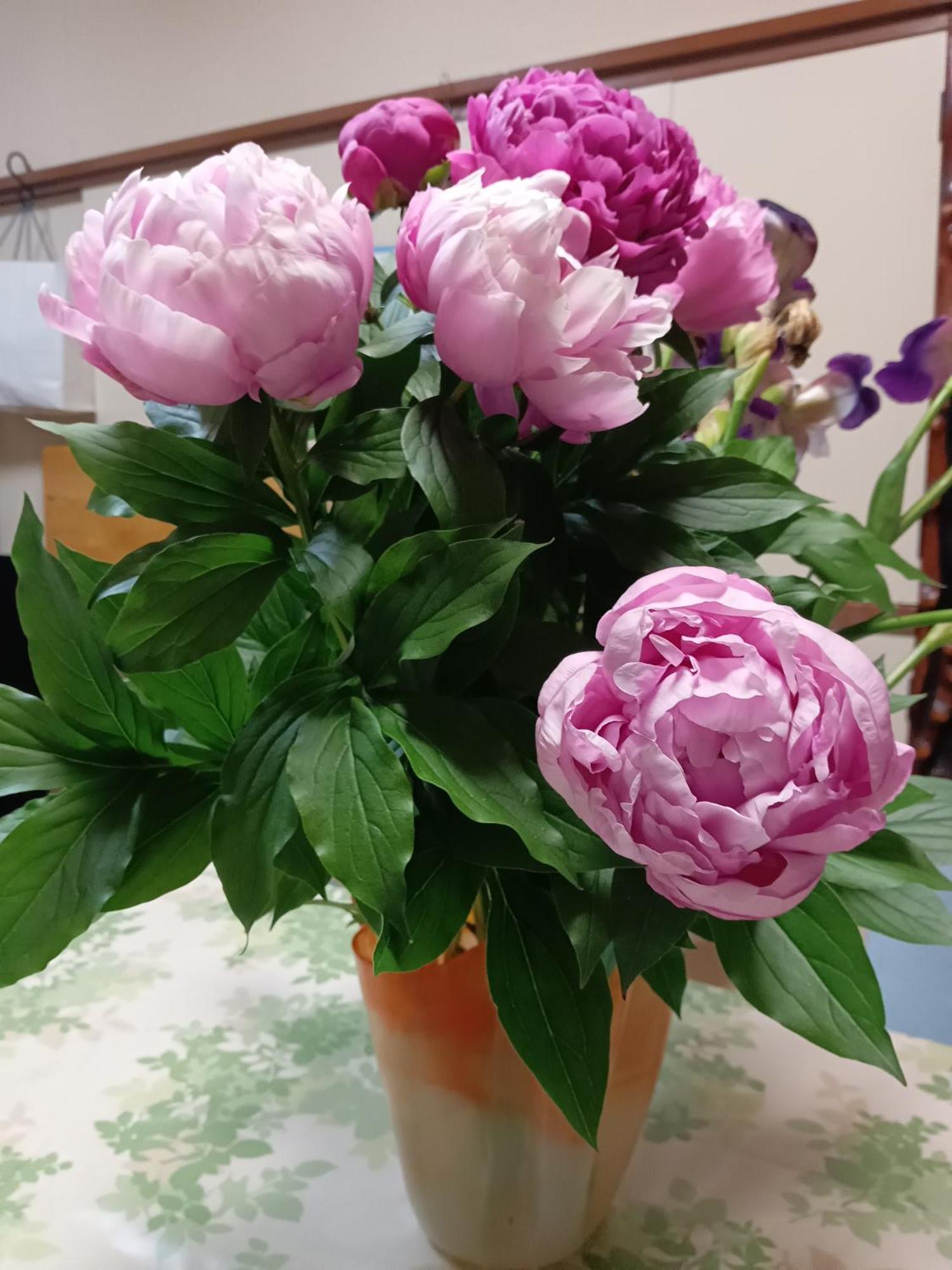 Tokyo Downtown B&B 외부 사진